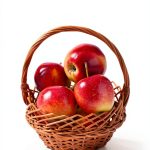 New England Fruit Cookbook Kindle by Amazon and 166 Pages-0